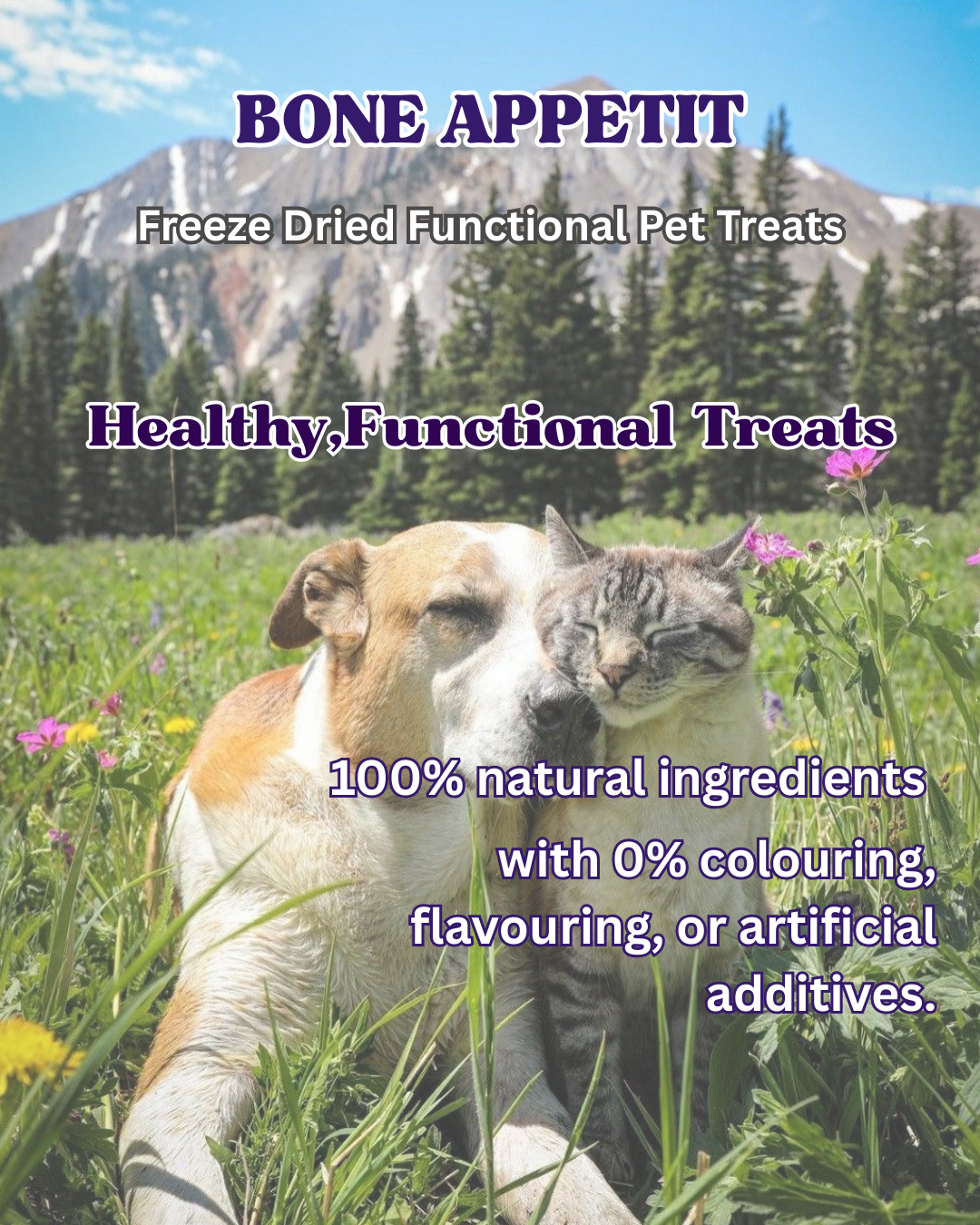 Spinach Beef Cubes Freeze Dried Pet Treat -50g