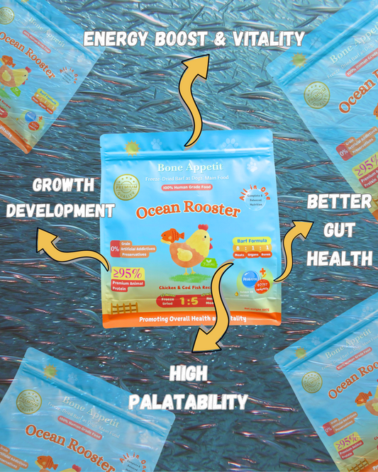 Ocean Roaster BARF - Vitality & Skin Health Formula 【500g】