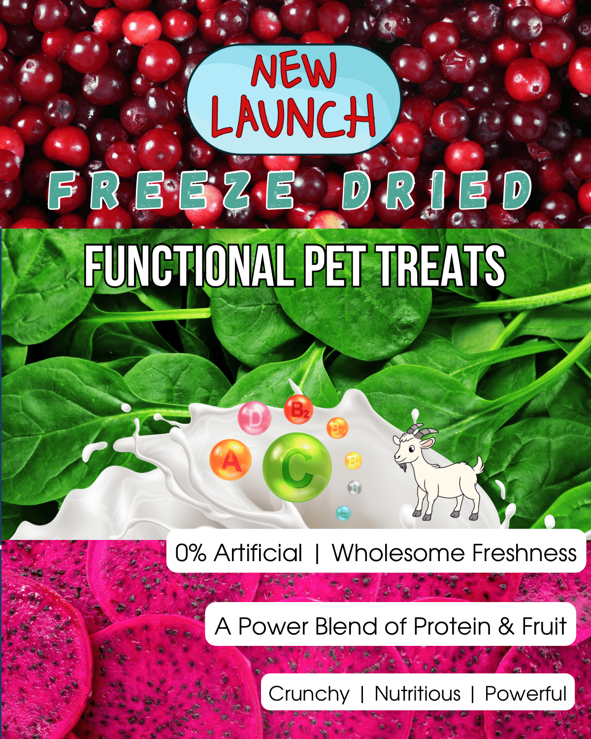 Spinach Beef Cubes Freeze Dried Pet Treat -50g