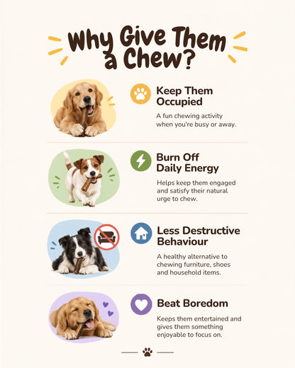 Air Dried Dog Chewing Snack | BEEF Series