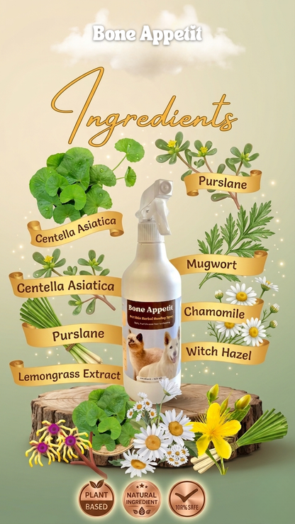 Pet Skin Herbal Healing Spray (510ml) | Natural Mosquito & Insect Repellent | Anti-Itch & Wound Care for Dogs & Cats