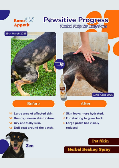 Pet Skin Herbal Healing Spray (510ml) | Natural Mosquito & Insect Repellent | Anti-Itch & Wound Care for Dogs & Cats