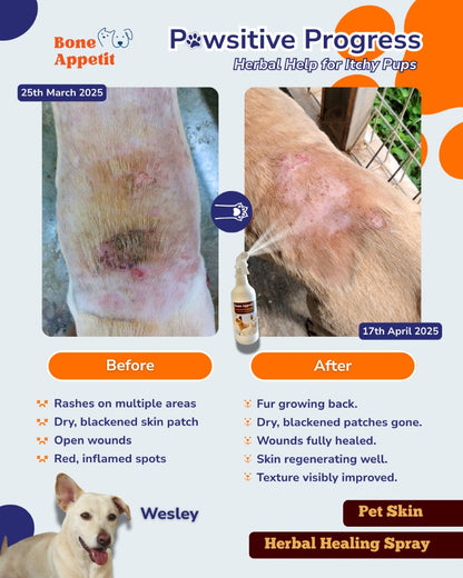 Pet Skin Herbal Healing Spray (510ml) | Natural Mosquito & Insect Repellent | Anti-Itch & Wound Care for Dogs & Cats