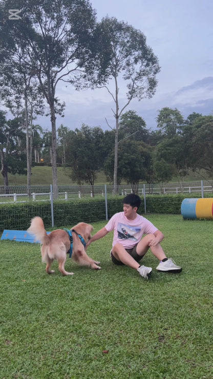 Chikibunnie untuk Anjing 500g + 25g sampel