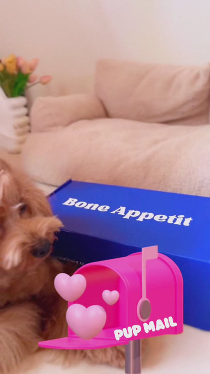 DeepSea Delight for Dogs 500g